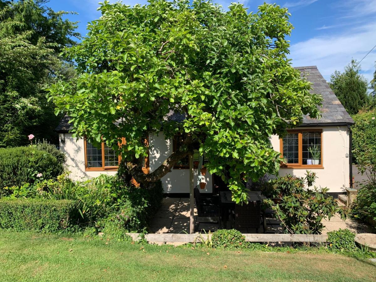 Newton Farmhouse Whiteparish Exterior photo